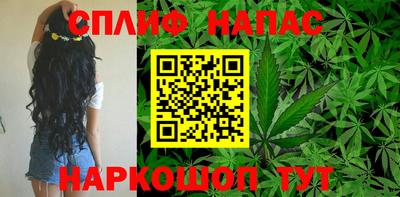 СК Нягань