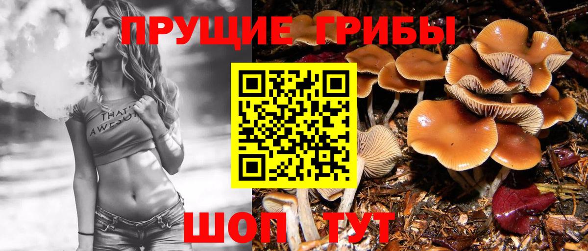 Галлюциногенные грибы прущие грибы  Вход с VPN  Галлюциногенные грибы мухоморы  Сухой Лог 