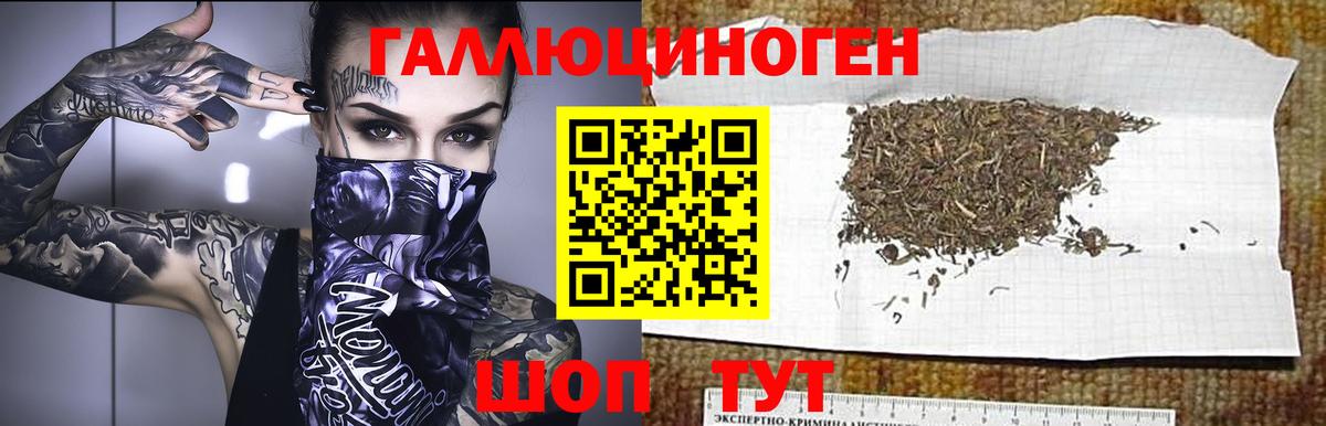Псилоцибиновые грибы мицелий Сухой Лог