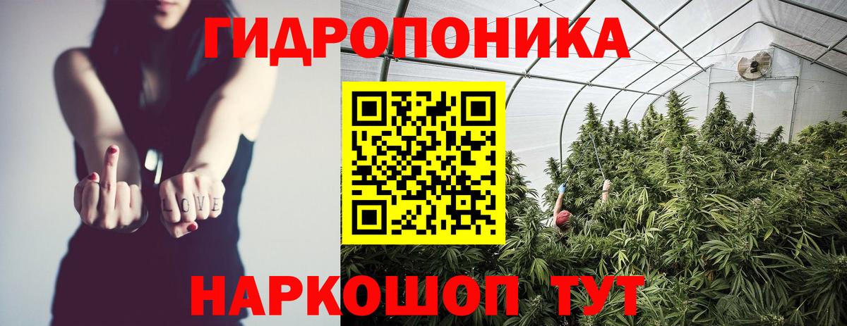 Бошки Шишки сатива  Канабис AK-47  Каннабис ГИДРОПОН  Шишки марихуана конопля  Сухой Лог  Вход с VPN 
